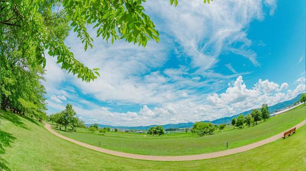 夏の公園 夏の公園 公園,芝生,自然の写真素材