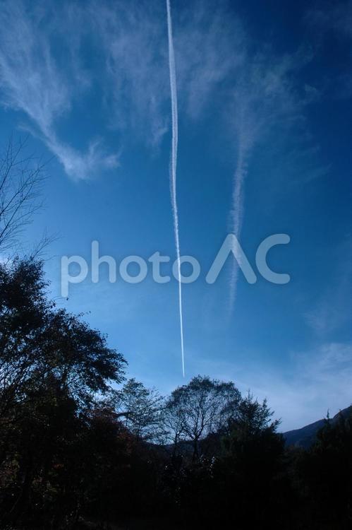 青空と木々と飛行機雲 青空,飛行機雲,木々の写真素材