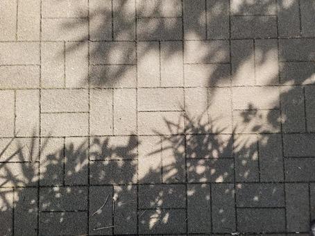 地面 タイル ブロック レンガ 石畳 影 の写真