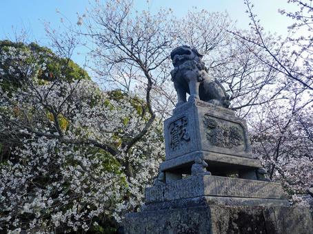 狛犬のある風景・萩市指月公園 狛犬のある風景・萩市指月公園の写真