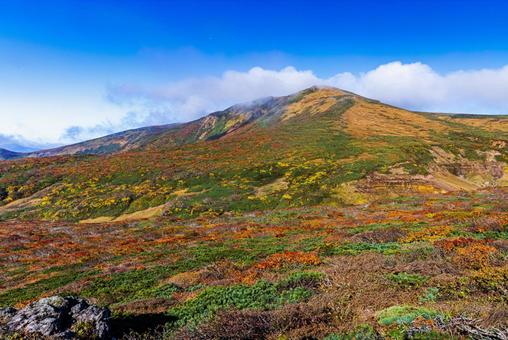 秋色に染まる 栗駒山の絶景 秋色に染まる 栗駒山の絶景 山,秋,紅葉の写真素材