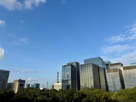 東京のイメージ 東京のイメージ ビル,街並み,ビル群の写真素材