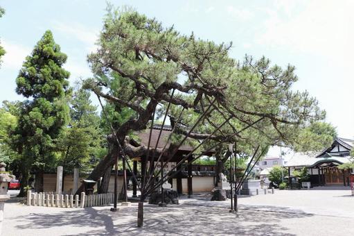 Tachiki Shrine, Kotaijingu Worship Site, Miyagi Worship Site, JPG Tachiki Shrine, Kotaijingu Worship Site, Miyagi Worship Site, JPG