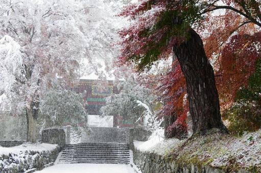 雪降る日の妙義神社 妙義神社,富岡市,富岡市妙義町の写真素材