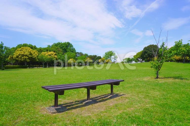 風車公園の広場とベンチ　静岡県浜松市 公園,ベンチ,自然の写真素材