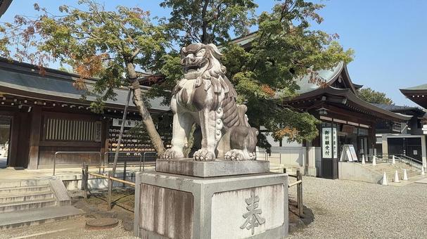 寒川神社 狛犬 寒川神社 狛犬 寒川神社,境内,神社の写真素材