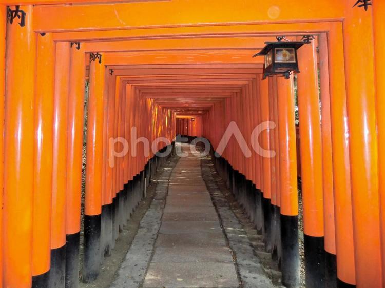 伏見稲荷大社 赤,稲荷,旅の写真素材