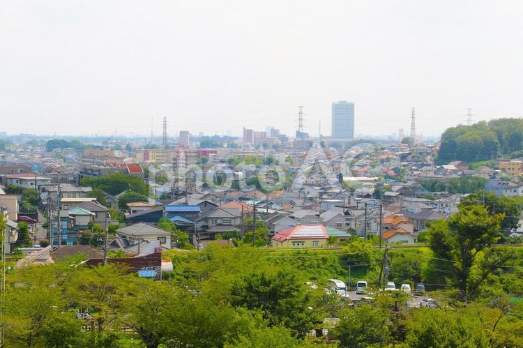 東京　森林01 自然,晴れ,空の写真素材