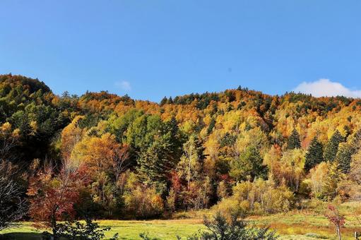 山田牧場付近3の写真