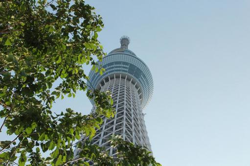 Photo, sky tree, radio tower, building, 