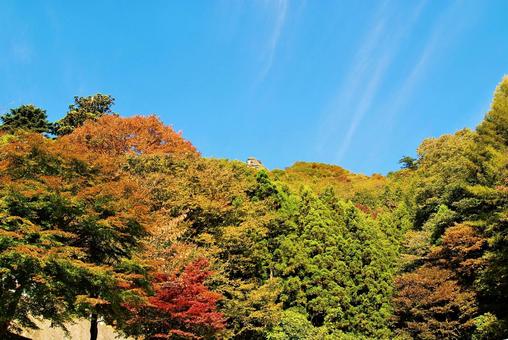 山と紅葉 山と紅葉 紅葉,秋,木の写真素材