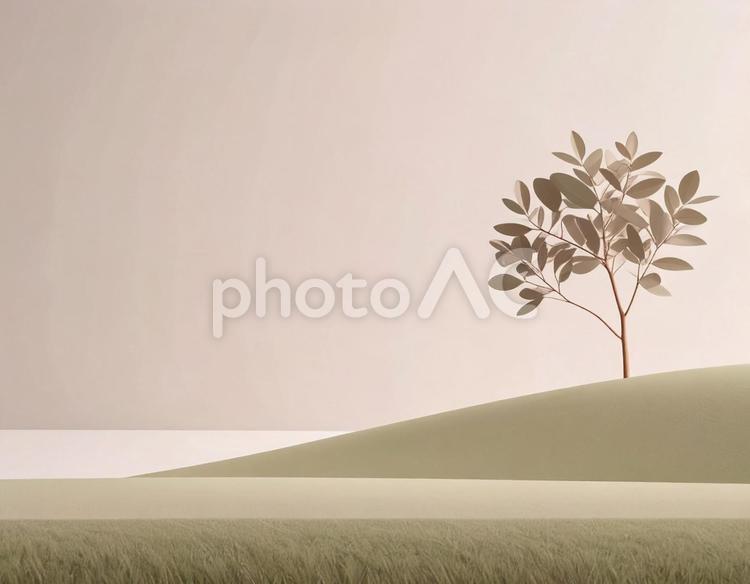 環境　イメージ 地球,自然,世界の写真素材