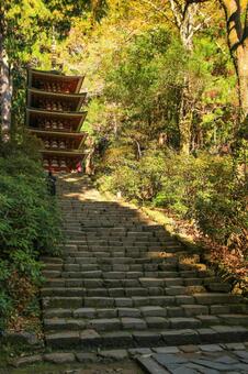 室生寺 室生寺,五重塔,女人高野の写真素材