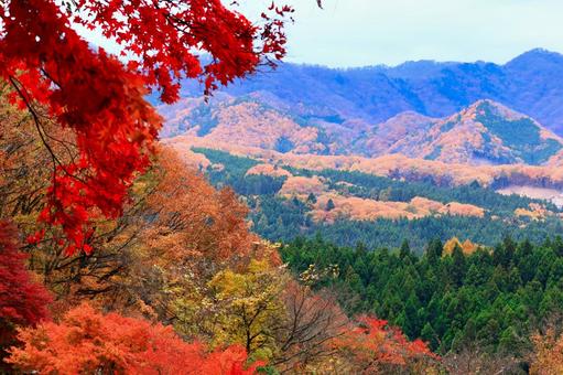 紅葉に染まる山々 紅葉,もみじ,11月の写真素材