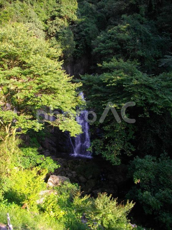 愛媛県菊間町　歌仙の滝 歌仙の滝,滝,山の写真素材