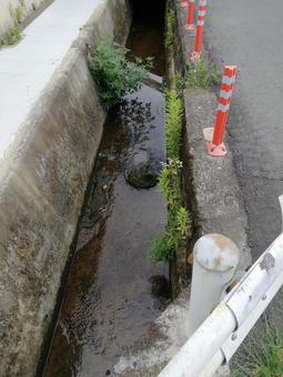 側溝 側溝の写真