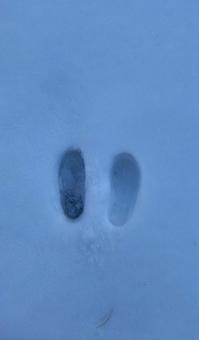 Footprints, JPG