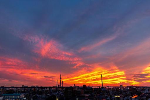 葛飾の夕空(晩夏)1 夕焼け,夕空,夕方の写真素材
