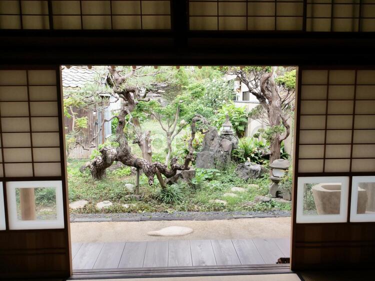 日本庭園　　日本家屋 日本家屋,日本庭園,庭の写真素材