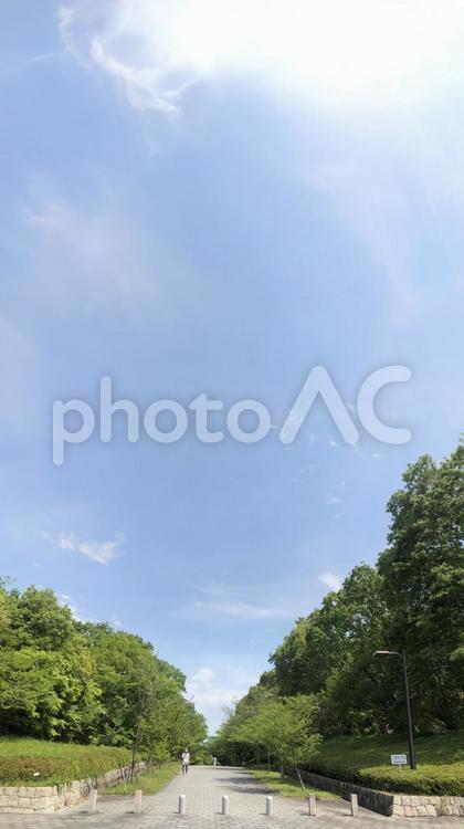 公園の風景 公園,何人もありません,自然の写真素材
