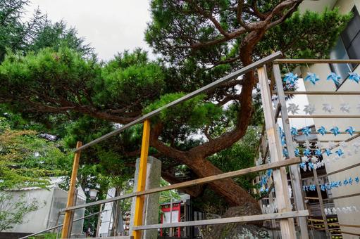 仙台八坂神社(22) 仙台八坂神社(22)の写真