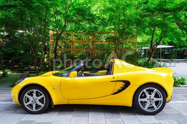 緑の森と風鈴と黄色いオープンスポーツカー スポーツカー,オープンカー,乗り物の写真素材