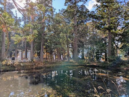 出羽三山神社 羽黒山,出羽三山神社,庄内の写真素材