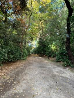 六義園外周スポット 六義園外周スポットの写真