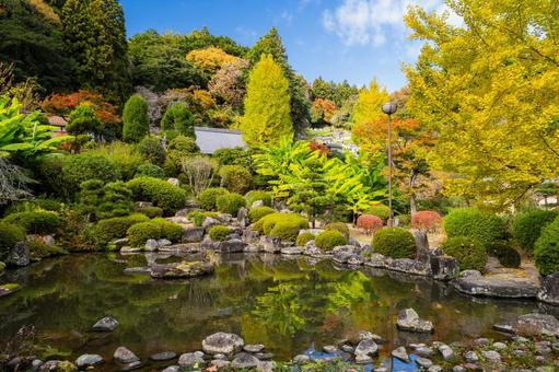 旧佐藤家住宅の秋⑻ 家,古民家,旧佐藤家住宅の写真素材