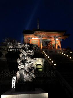 夜の清水寺 夜の清水寺の写真