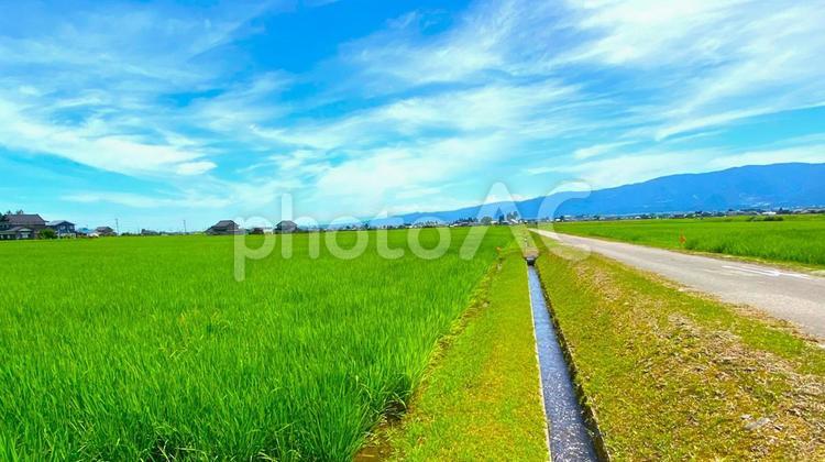 夏の田園風景（富山・南砺市）：9 田,田園,田んぼの写真素材