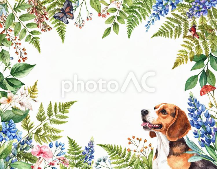 犬と自然のテキストフレーム 犬,花,植物の写真素材