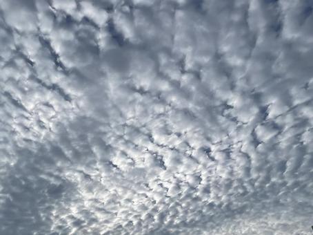 ウロコ雲 巻積雲 秋空 鱗 イワシ雲 ウロコ雲 巻積雲 秋空 鱗 イワシ雲の写真