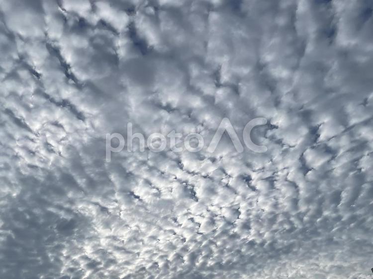 ウロコ雲　巻積雲　秋空　鱗　イワシ雲 ウロコ雲,巻積雲,秋空の写真素材