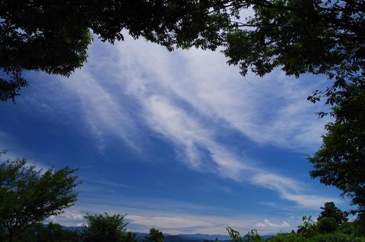 空と木の額縁 青空,雲,空の写真素材
