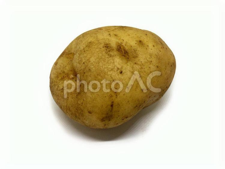 ジャガイモまるごと１ じゃがいも,野菜,馬鈴薯の写真素材