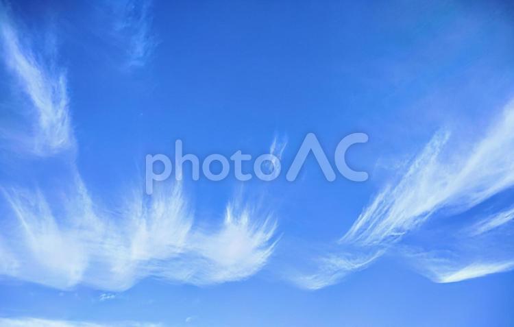 鮮やかな青空と白い雲 空,青空,雲の写真素材
