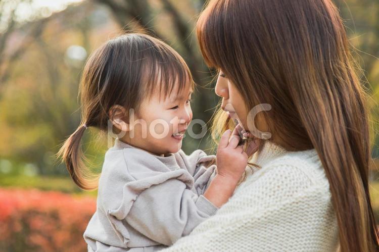 秋の公園を散歩する親子（子供・ママ） 子供,親子,ママの写真素材