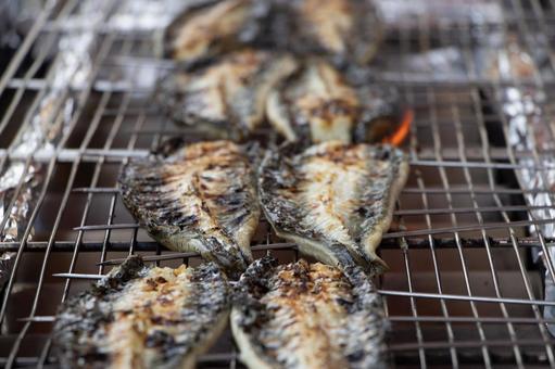 うなぎ 白焼き うなぎ,白焼き,長焼きの写真素材