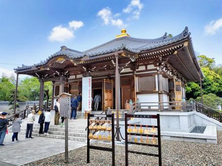 成田山新勝寺 醫王殿 右側から 成田山新勝寺 醫王殿 右側から 成田山,新勝寺,醫王殿の写真素材