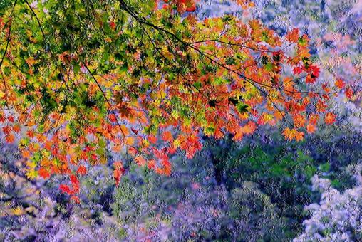 背景素材/紅葉・油彩風 背景素材,紅葉,油彩風の写真素材
