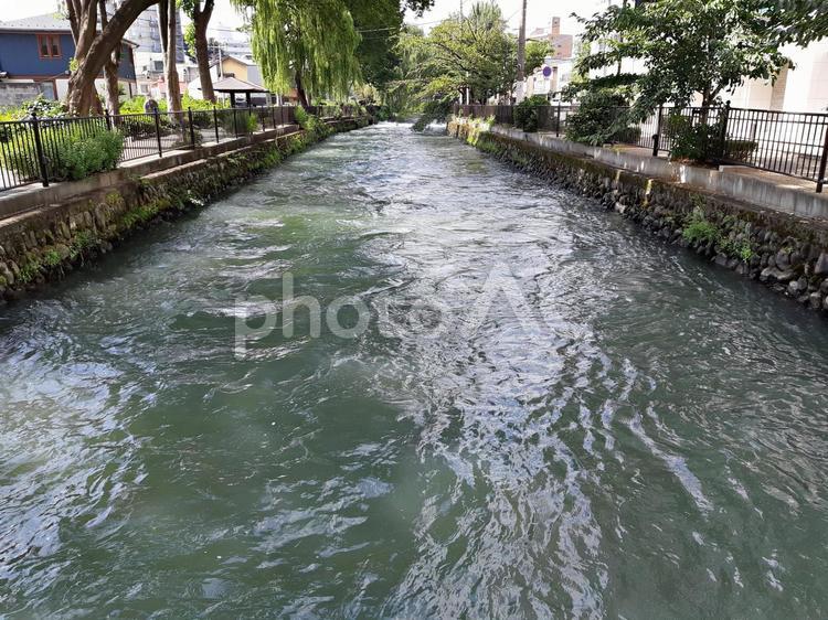 広瀬川（群馬県前橋市）の川の流れ  広瀬川,川,流れの写真素材