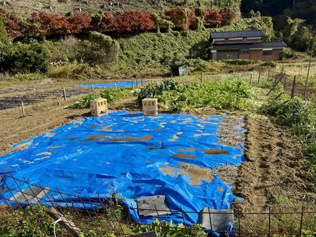 福井県坂井市　冬の畑 畑,農場,竹田水車メロディーパークの写真素材