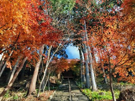 高山不動の紅葉 高山不動の紅葉 高山不動,紅葉,常楽院の写真素材