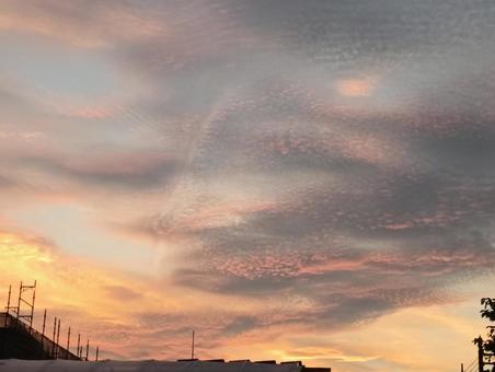 夕焼け 夕焼けの写真