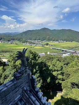 中村城跡(高知県) 中村城跡(高知県) 城跡,城,しゃちほこの写真素材