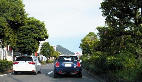 両側に街路樹 街路樹,並木,車の写真素材