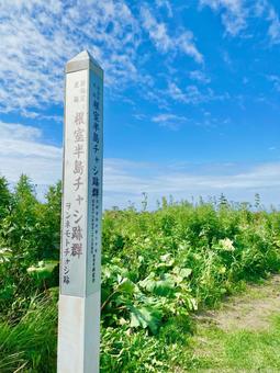 ヲンネモトチャシ ヲンネモトチャシ 北海道,根室市,根室半島の写真素材