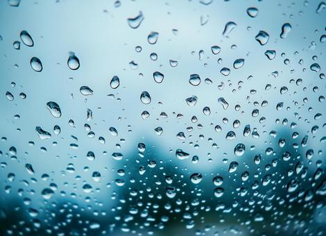 雨粒風景 雨粒風景の写真