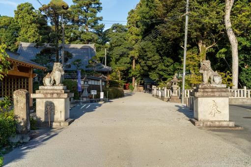 奈良 鴨都波神社 参道 奈良 鴨都波神社 参道 鴨都波神社,下鴨社,神社の写真素材